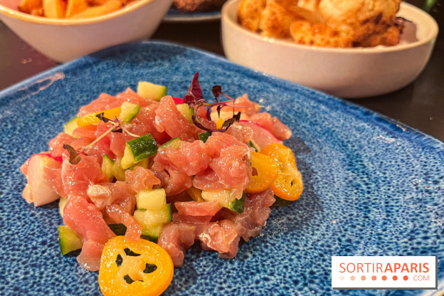 TRIBE Clichy - nos photos - image00025