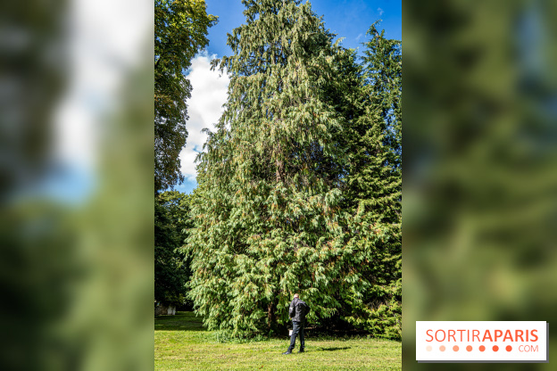 Le désert de Retz, le parc anglo-chinois insolite dans les Yvelines -  A7C2135