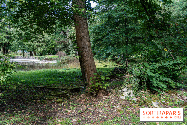 Le désert de Retz, le parc anglo-chinois insolite dans les Yvelines -  A7C2138