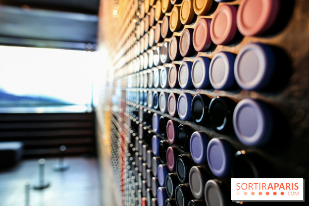 Speedy Graphito à Fluctuart, nos photos - IMG 6020