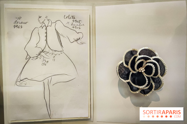 Les fleurs d'Yves Saint Laurent : l'exposition se dévoile en images au musée YSL