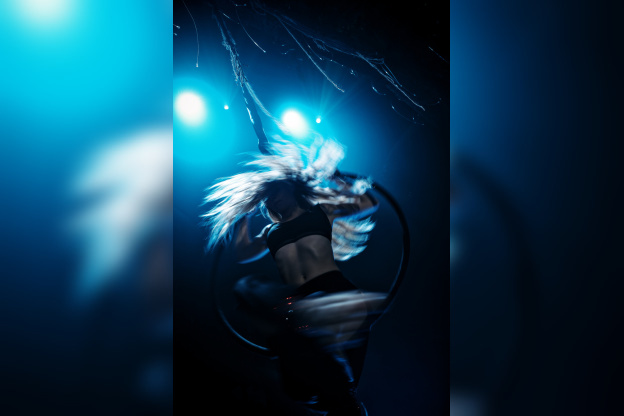 Spectacle Arbre Cirque Bormann  - DSC00944