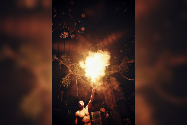 Spectacle Arbre Cirque Bormann  - DSC00978