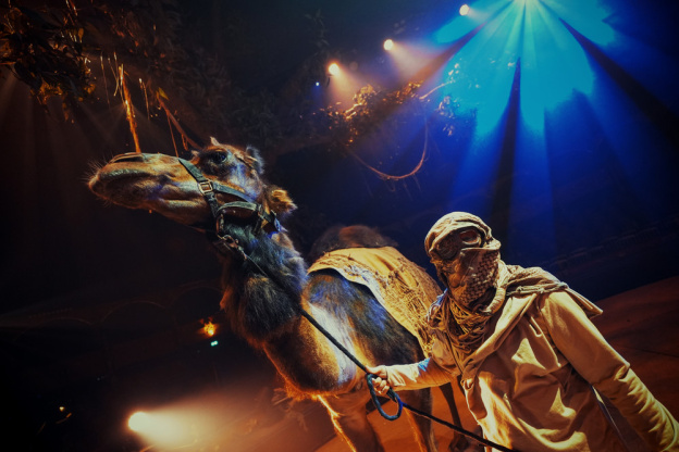 Spectacle Arbre Cirque Bormann  - DSC01322