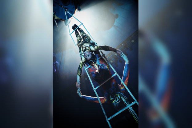 Spectacle Arbre Cirque Bormann  - DSC01156