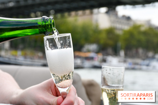 Une croisière privée en amoureux sur la Seine - DSC 2201