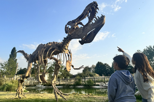 Campagne #33857 - Dinosaures 1 Parrot World   Dia de los Muertos 2025   1500x1000px