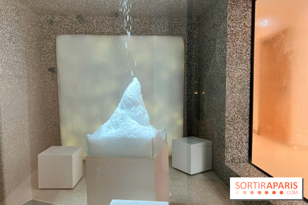 Dolce by Wyndham Versailles - Domaine du Montcel