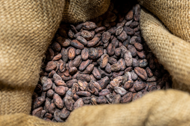Salon du chocolat 2024 : Rendez-vous à Paris Expo - Porte de Versailles - Matiere 0002