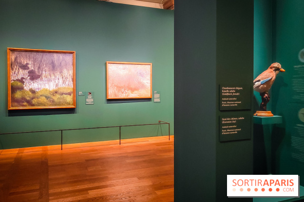 Bruno Liljefors, la Suède sauvage : l'exposition poétique se dévoile en images au Petit Palais