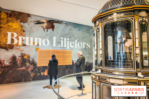 Bruno Liljefors, la Suède sauvage : l'exposition poétique se dévoile en images au Petit Palais - IMG20240930093907