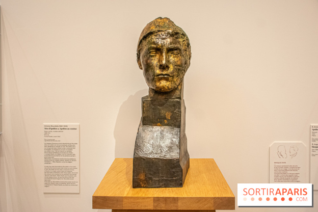 Rodin/Bourdelle - Corps à corps au Musée Bourdelle - DSC 1219