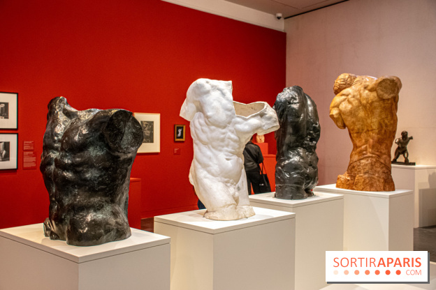 Rodin/Bourdelle - Corps à corps au Musée Bourdelle - DSC 1225