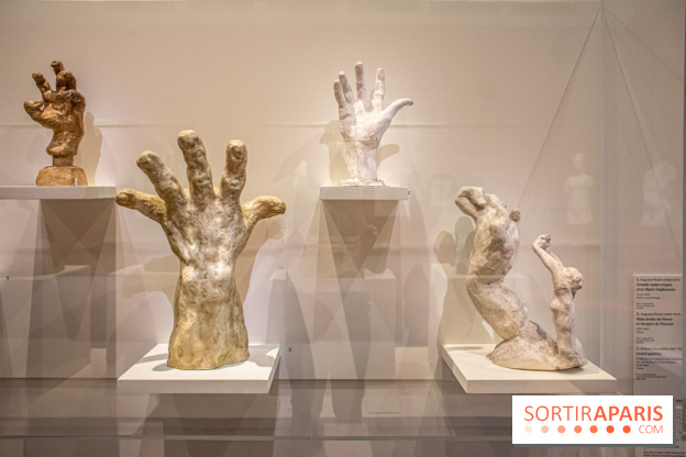 Rodin/Bourdelle - Corps à corps au Musée Bourdelle - DSC 1227