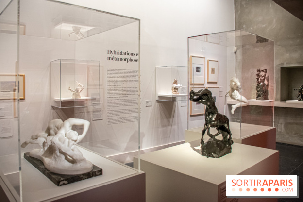 Rodin/Bourdelle - Corps à corps au Musée Bourdelle - DSC 1243