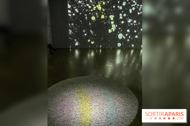 Prix Marcel Duchamp 2024 au Centre Pompidou - IMG 0320