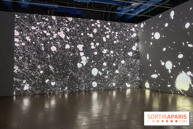 Prix Marcel Duchamp 2024 au Centre Pompidou - IMG 0321