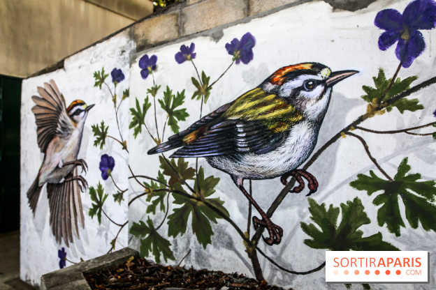 L'usine fait le mur, nos photos du festival de street art dans le 94 - IMG 6217