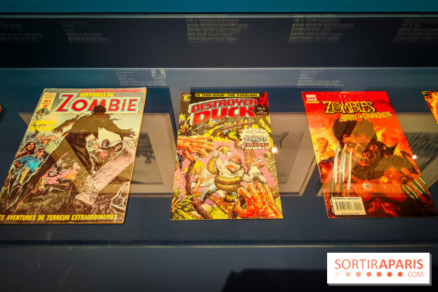 Zombis, la mort n'est pas une fin : l'exposition du musée du Quai Branly - IMG20241007111748