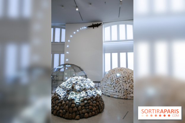 Arte Povera, l'exposition à la Bourse de Commerce, nos photos