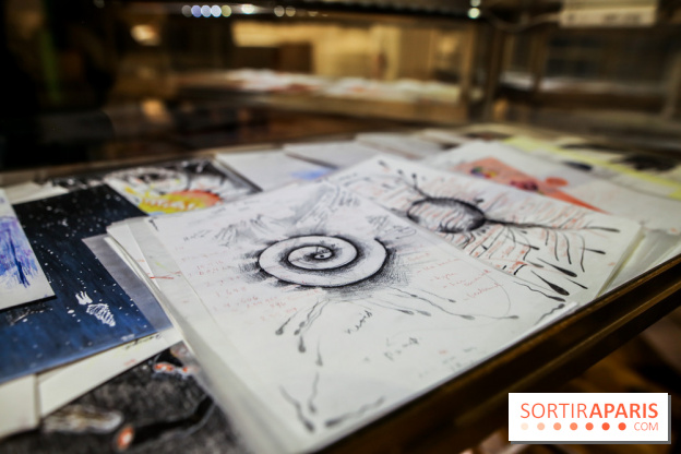 Ylva Snöfrid, exposition Cosmos et Vanitas à l'Institut suédois, nos photos - IMG 6363