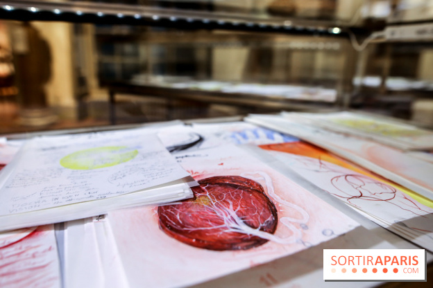 Ylva Snöfrid, exposition Cosmos et Vanitas à l'Institut suédois, nos photos - IMG 6377