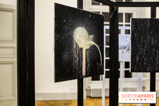 Ylva Snöfrid, exposition Cosmos et Vanitas à l'Institut suédois, nos photos - IMG 6406