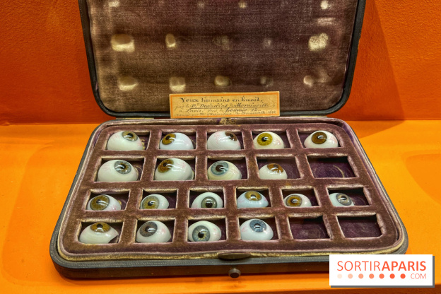 Merveilles - Sèvres - IMG 5130