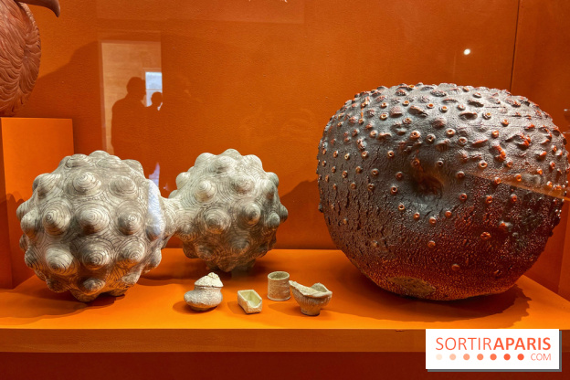 Merveilles - Sèvres - IMG 5132