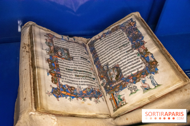 Figures du fou au musée du Louvre : l'exposition loufoque à découvrir - DSC 1334