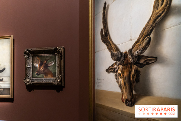 Les photos de l'exposition Oudry, peinte de courre au Château de Fontainebleau
