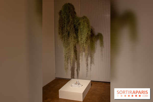 Exposition Soft Skills de Mohamad Abdouni à Lafayette Anticipations