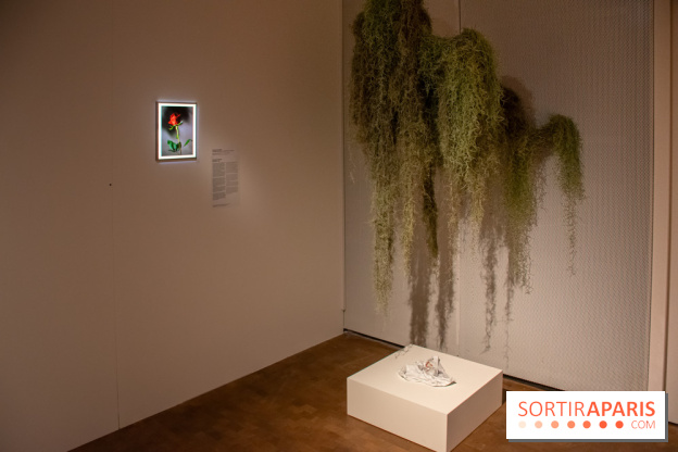 Exposition Soft Skills de Mohamad Abdouni à Lafayette Anticipations