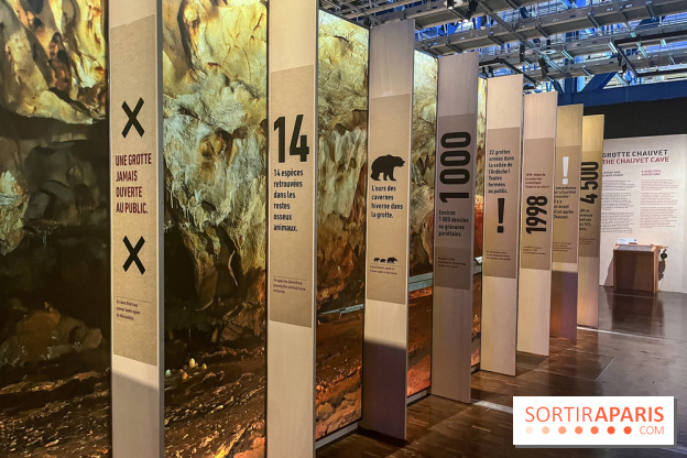 La Grotte Chauvet à la Cité des Sciences, nos photos  - image00017