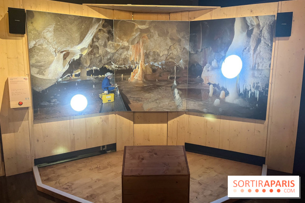 La Grotte Chauvet à la Cité des Sciences, nos photos  - image00014