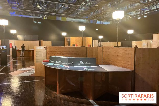 La Grotte Chauvet à la Cité des Sciences, nos photos  - image00016