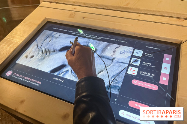 La Grotte Chauvet à la Cité des Sciences, nos photos  - image00009