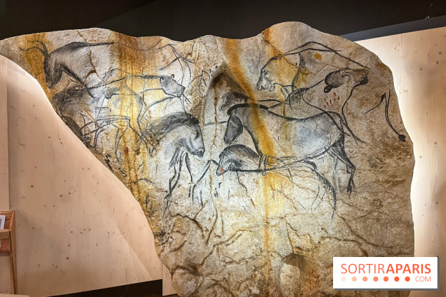 La Grotte Chauvet à la Cité des Sciences, nos photos  - image00010