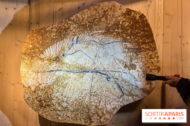 La Grotte Chauvet à la Cité des Sciences, nos photos  - image00005