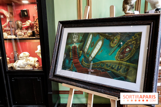 Benjamin Lacombe, nos photos de son exposition chez Deyrolle à Paris