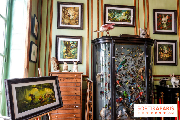 Benjamin Lacombe, nos photos de son exposition chez Deyrolle à Paris - DSC05548