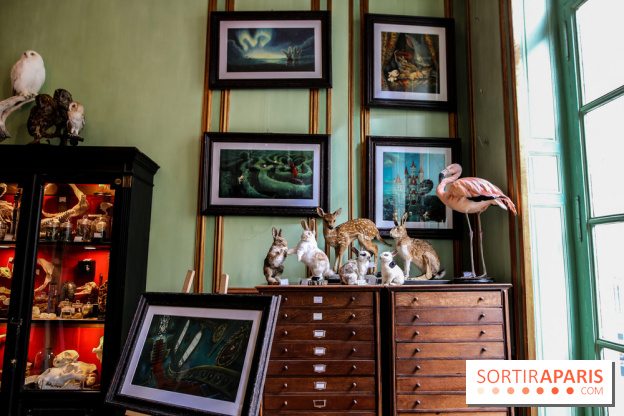 Benjamin Lacombe, nos photos de son exposition chez Deyrolle à Paris