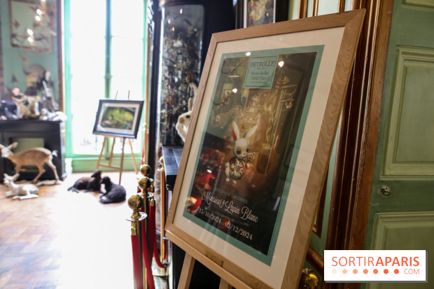 Benjamin Lacombe, nos photos de son exposition chez Deyrolle à Paris