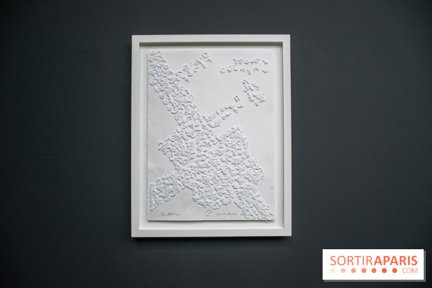 Exposition Barbara Chase-Riboud au Palais de Tokyo :  - DSC 1584