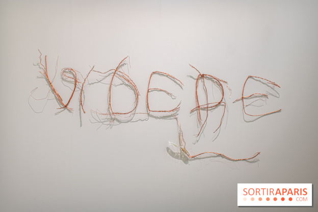 Exposition Praesentia de Myriam Mihindou au Palais de Tokyo - DSC 1615