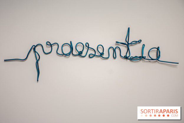 Exposition Praesentia de Myriam Mihindou au Palais de Tokyo - DSC 1619