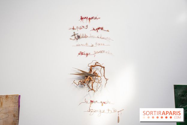 Exposition Praesentia de Myriam Mihindou au Palais de Tokyo - DSC 1621