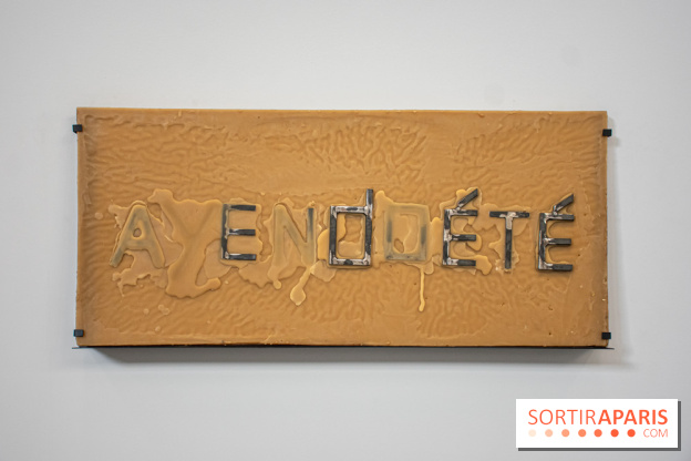 Exposition Praesentia de Myriam Mihindou au Palais de Tokyo - DSC 1626