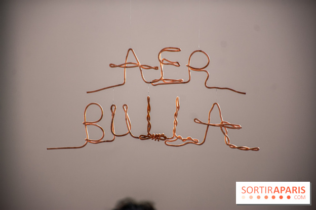 Exposition Praesentia de Myriam Mihindou au Palais de Tokyo - DSC 1627