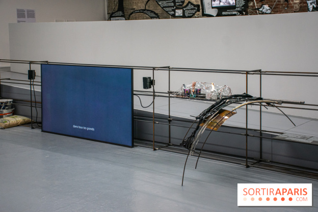 Les Frontières sont des animaux nocturnes : l'expo pour la saison lituanienne au Palais de Tokyo - DSC 1642